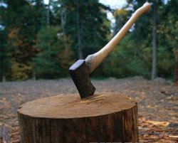 Виталий Кличко строит деревянную «мега-виллу»
